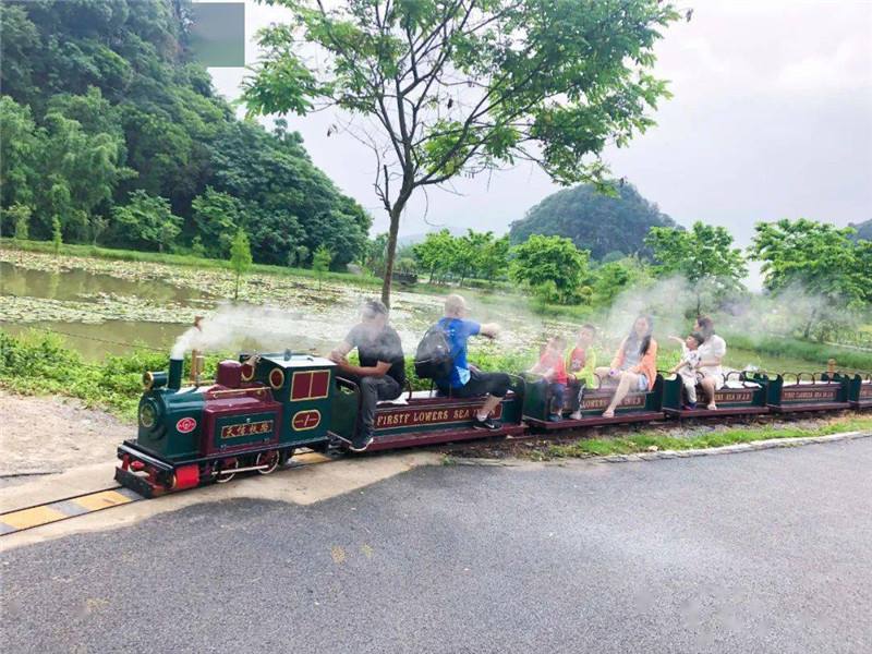 田園鄉(xiāng)村觀光小火車造價多少錢？